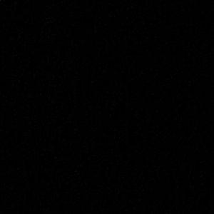 Meet your Posher, Dora